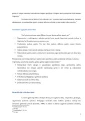 Greitumas 5 puslapis