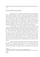 Greitumas 7 puslapis