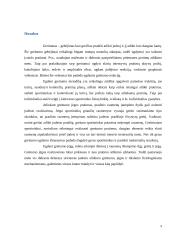 Greitumas 9 puslapis