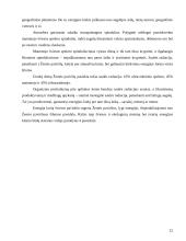 Ekosistemos. Referatas 12 puslapis