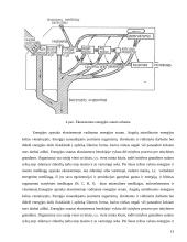 Ekosistemos. Referatas 13 puslapis