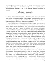 Ekosistemos. Referatas 14 puslapis