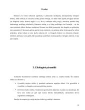 Ekosistemos. Referatas 19 puslapis