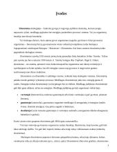 Ekosistemos. Referatas 3 puslapis