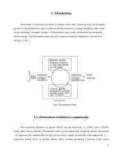 Ekosistemos. Referatas 5 puslapis