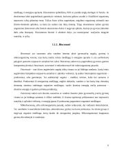 Ekosistemos. Referatas 6 puslapis