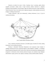 Ekosistemos. Referatas 9 puslapis