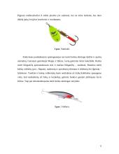 Žvejybos ir akvakultūros organizavimas ir priežiūra  6 puslapis