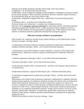 Praktikos ataskaita UAB “Filipopolis“ 11 puslapis