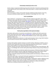 Praktikos ataskaita UAB “Filipopolis“ 12 puslapis