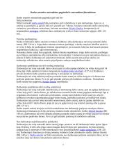 Praktikos ataskaita UAB “Filipopolis“ 7 puslapis