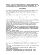 Praktikos ataskaita UAB “Filipopolis“ 10 puslapis