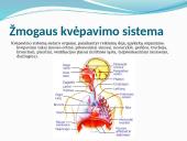 Kvėpavimas. Pristatymas 3 puslapis