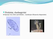 Kvėpavimas. Pristatymas 6 puslapis