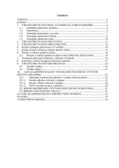 Įmonės strategijos planavimas  2 puslapis