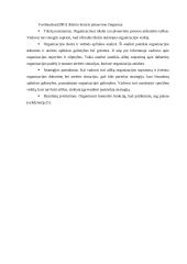 Įmonės strategijos planavimas  12 puslapis