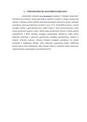 Įmonės strategijos planavimas  13 puslapis