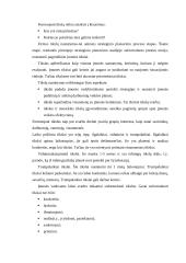 Įmonės strategijos planavimas  15 puslapis