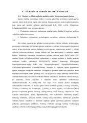 Įmonės strategijos planavimas  19 puslapis