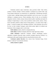 Įmonės strategijos planavimas  3 puslapis