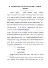 Įmonės strategijos planavimas  4 puslapis