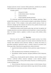 Įmonės strategijos planavimas  5 puslapis