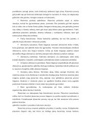 Įmonės strategijos planavimas  6 puslapis