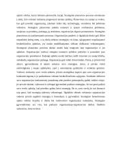 Įmonės strategijos planavimas  10 puslapis