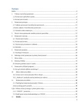 Partnerytės tinklo formavimas: atvejų analizė 2 puslapis