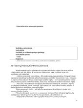 Partnerytės tinklo formavimas: atvejų analizė 11 puslapis