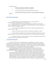 Partnerytės tinklo formavimas: atvejų analizė 18 puslapis