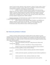 Partnerytės tinklo formavimas: atvejų analizė 19 puslapis