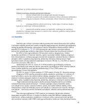 Partnerytės tinklo formavimas: atvejų analizė 20 puslapis