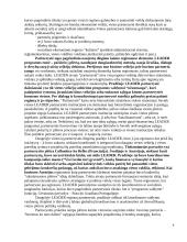 Partnerytės tinklo formavimas: atvejų analizė 9 puslapis