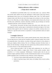 Dorinio ugdymo vertinimo pavyzdžiai 2 puslapis