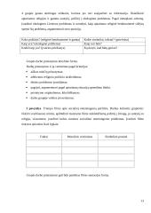 Dorinio ugdymo vertinimo pavyzdžiai 13 puslapis