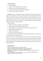 Dorinio ugdymo vertinimo pavyzdžiai 14 puslapis