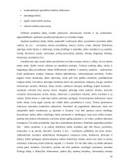 Dorinio ugdymo vertinimo pavyzdžiai 20 puslapis