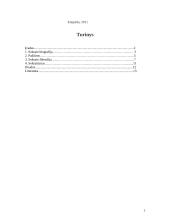 Sokrato filosofija - sokratizmas 2 puslapis