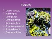 Kerpės. Pristatymas 2 puslapis