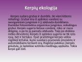 Kerpės. Pristatymas 10 puslapis