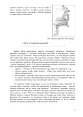 Ergonomikos pagrindai 5 puslapis