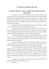 Lizingo ir faktoringo finansinė sistema 2 puslapis