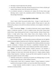 Lizingo ir faktoringo finansinė sistema 4 puslapis