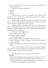 Lizingo ir faktoringo finansinė sistema 6 puslapis