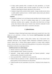 Lizingo ir faktoringo finansinė sistema 7 puslapis