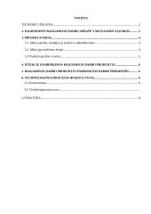 Vestuvinių suknelių salonas. Verslo planas 2 puslapis