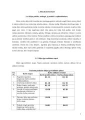 Vestuvinių suknelių salonas. Verslo planas 6 puslapis