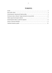 Darbo sauga kineziterapiauto darbo vietoje 2 puslapis