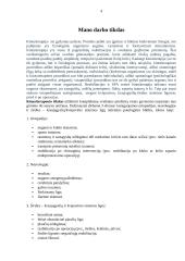 Darbo sauga kineziterapiauto darbo vietoje 4 puslapis